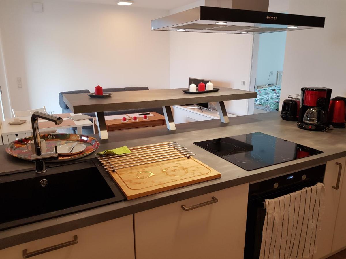 Wohnen Direkt Am Rhein, Zentrums- Und Domnah, 55Qm Apartment Шпайер Екстериор снимка