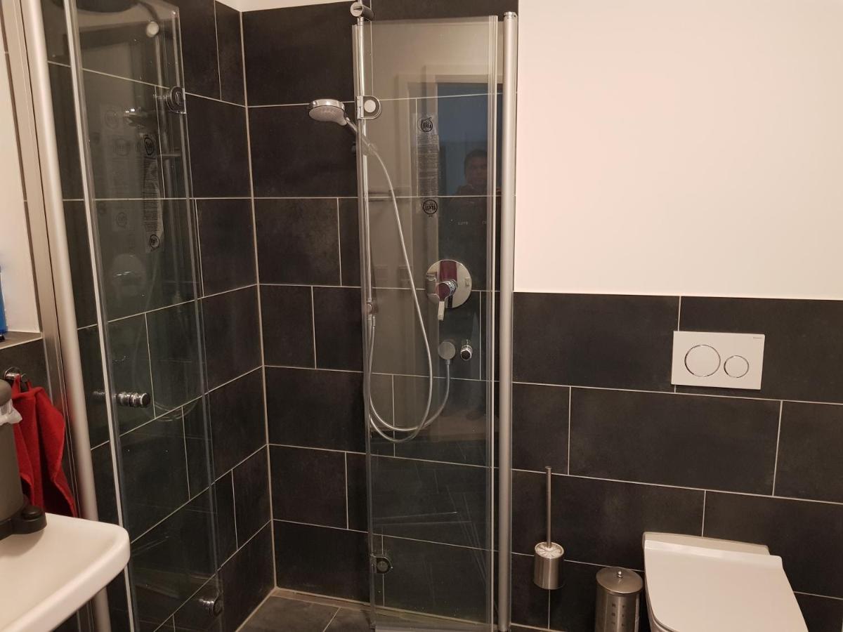 Wohnen Direkt Am Rhein, Zentrums- Und Domnah, 55Qm Apartment Шпайер Екстериор снимка