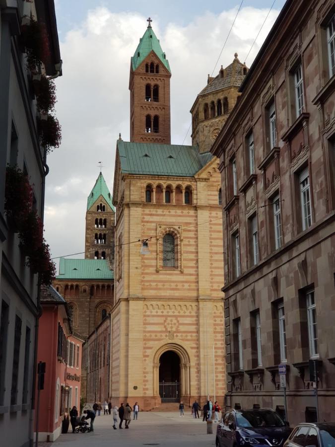 Wohnen Direkt Am Rhein, Zentrums- Und Domnah, 55Qm Apartment Шпайер Екстериор снимка