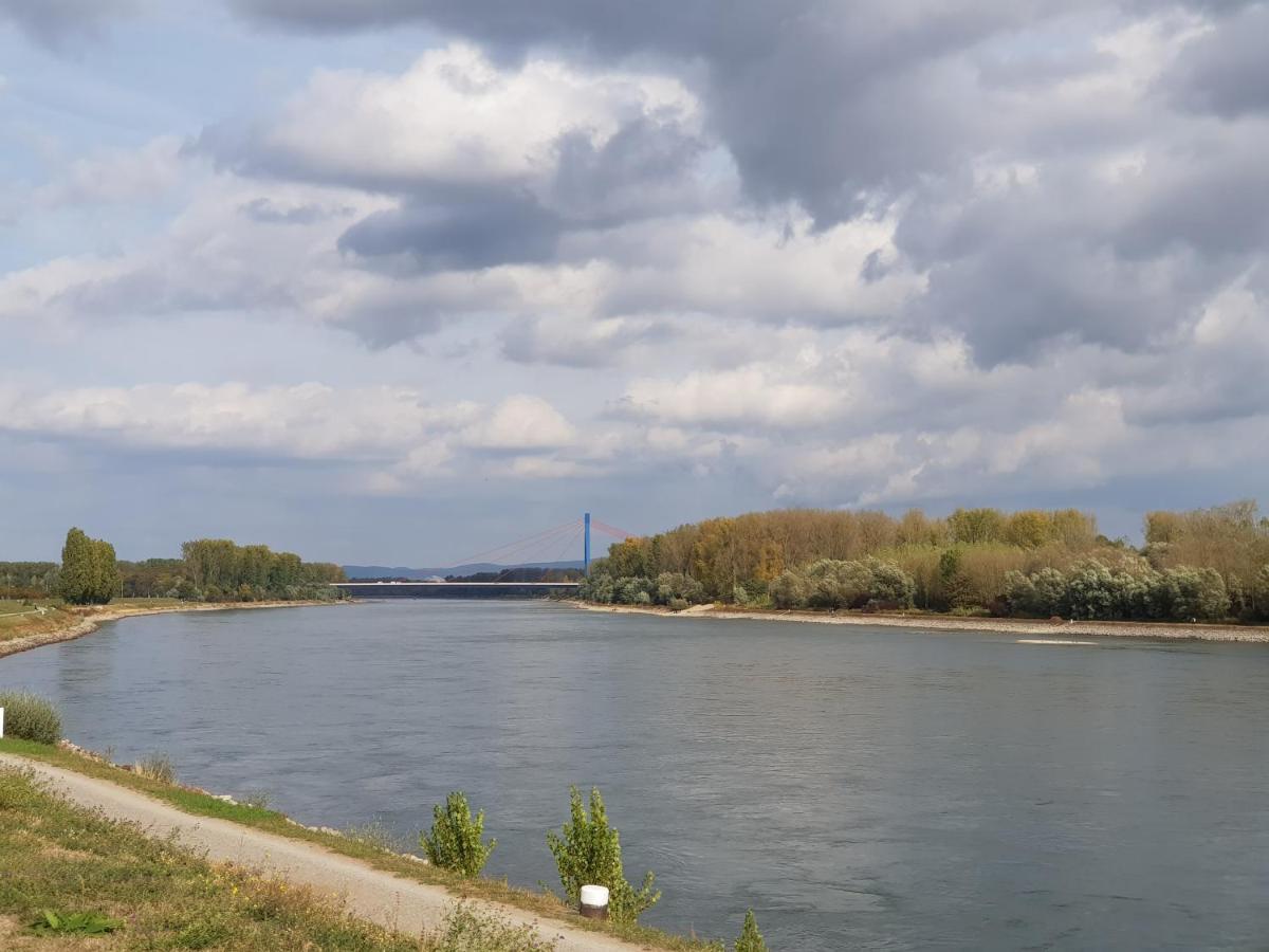 Wohnen Direkt Am Rhein, Zentrums- Und Domnah, 55Qm Apartment Шпайер Екстериор снимка